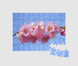7"x10" - 60-piece Jigsaw with 250mm x 190mm 60pc Jigsaws design
