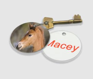 Round Keyring with Round Plastic Keyring design