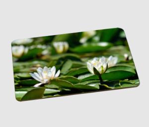 Tablemat 8x10 with 23cm x 19cm Placemats design